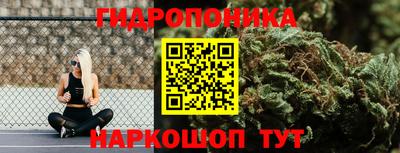 круглые Кингисепп