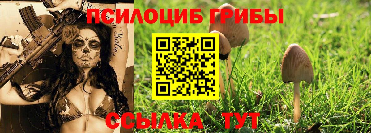 Псилоцибиновые грибы MAGIC MUSHROOMS Красногорск