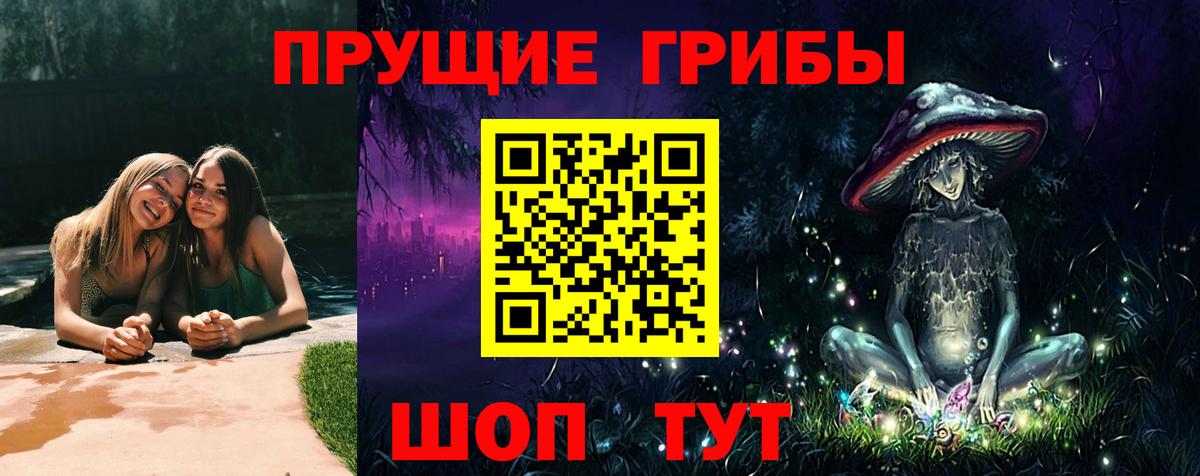 Галлюциногенные грибы GOLDEN TEACHER  Вход с VPN  где продают   Красногорск 